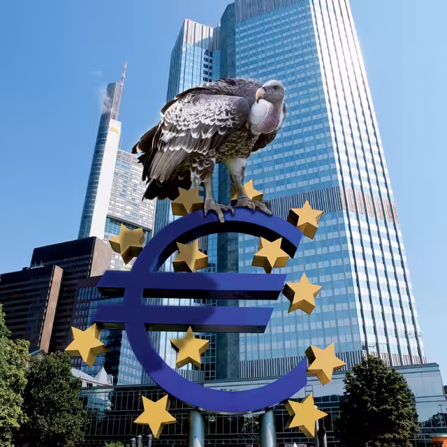 eurovulture-large